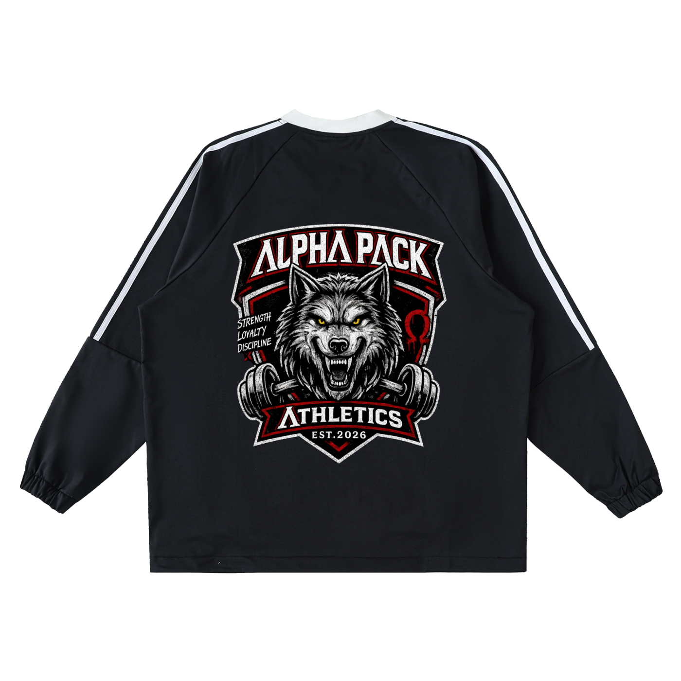 Color-Block V-Neck Long-Sleeve Alpha Sport